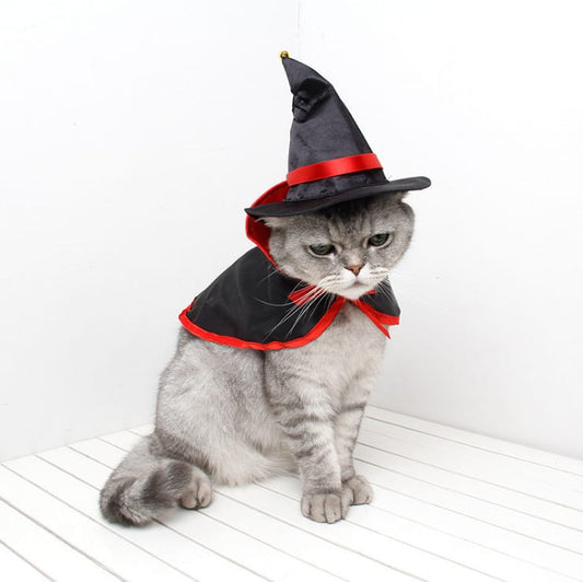 Halloween Pumpkin Cloak for Dogs or Cats