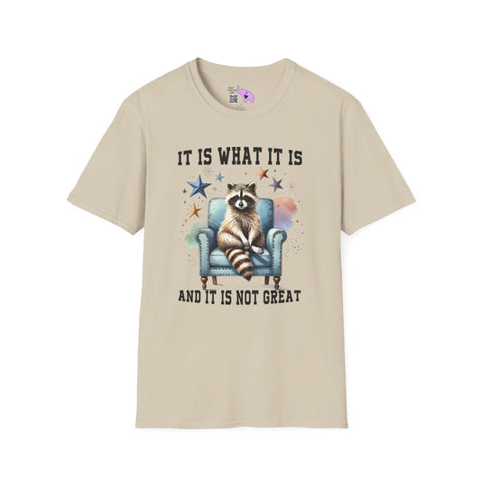 It Is What It Is And It's Not Great Racoon (2) Adult T-shirt