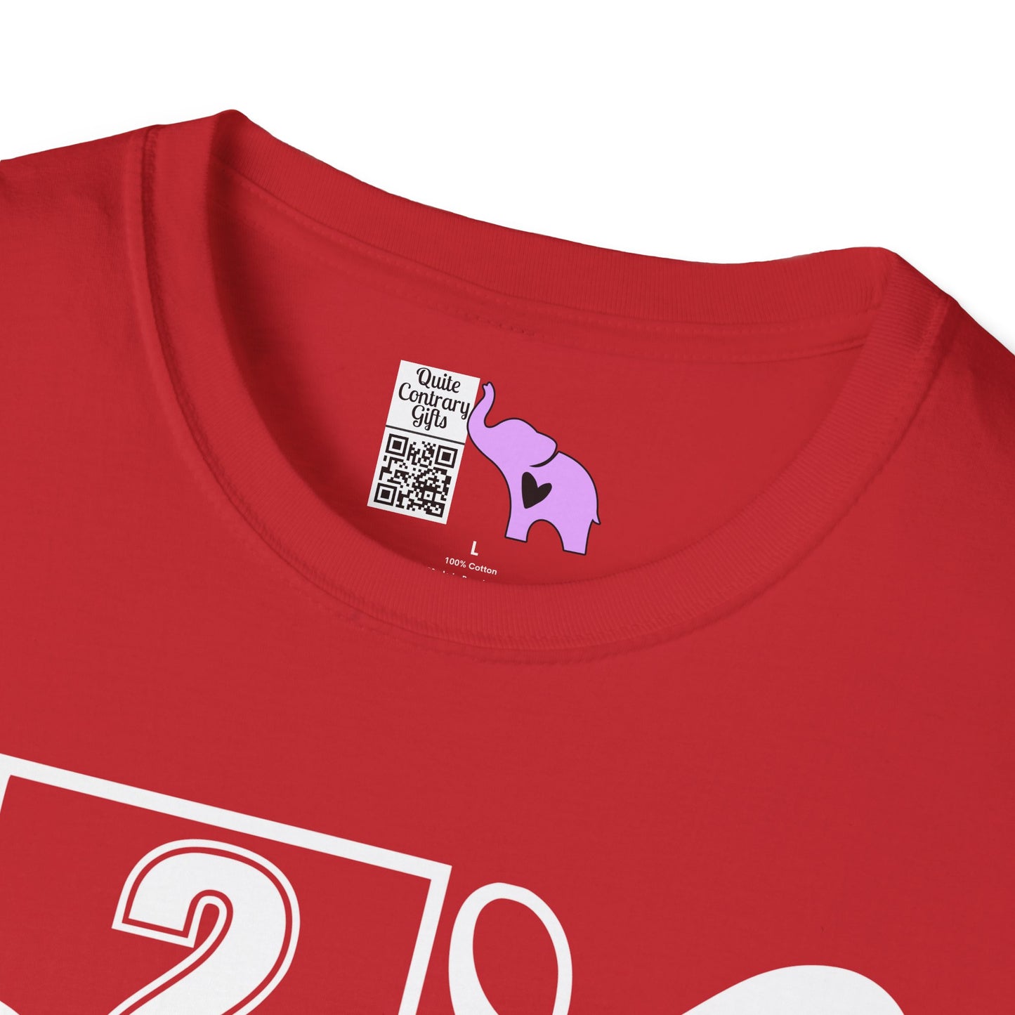 Vertical Class of 2027 Senior Adult T-shirt