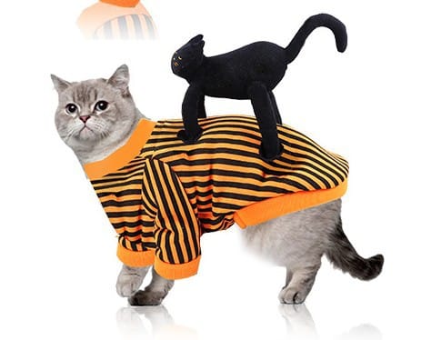 Paws & Boos Halloween Pet Costume Collection