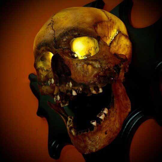 Light-Up Hanging Skull Wall Decoration
