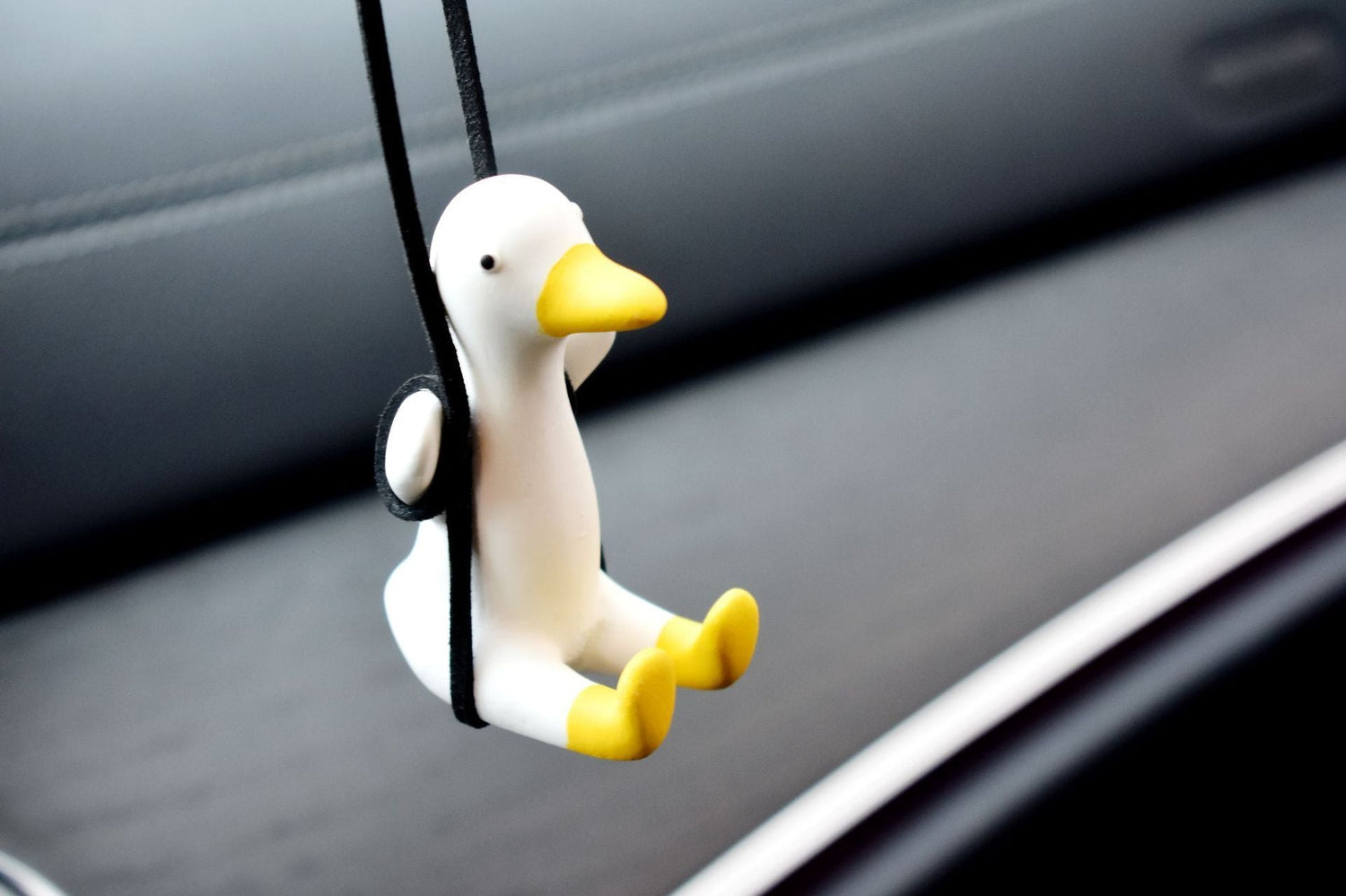 Car Decor/Accessories