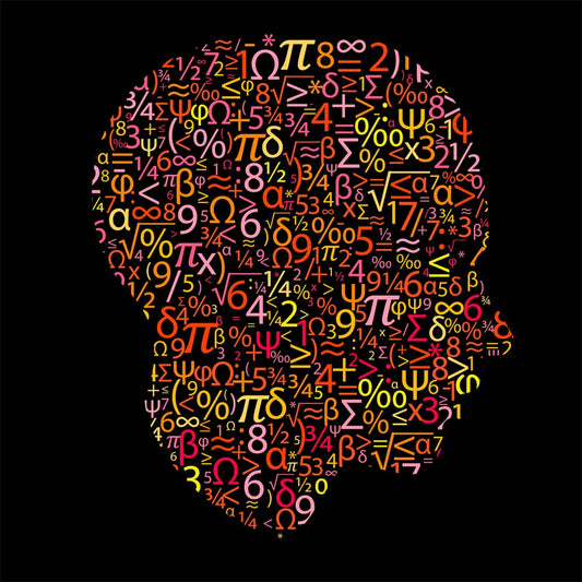 Beautiful Mind Math Wooden Puzzle