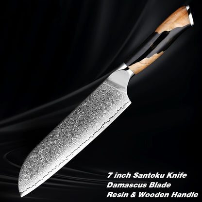 Damascus Steel Professional Chef Knife Set