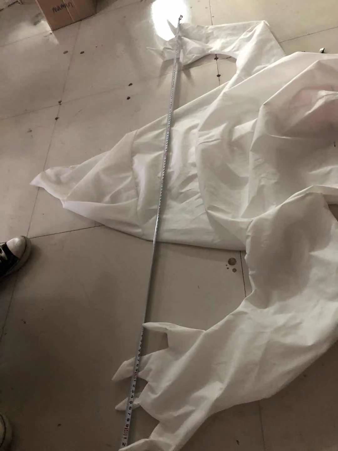 Hovering Halloween Ghost
