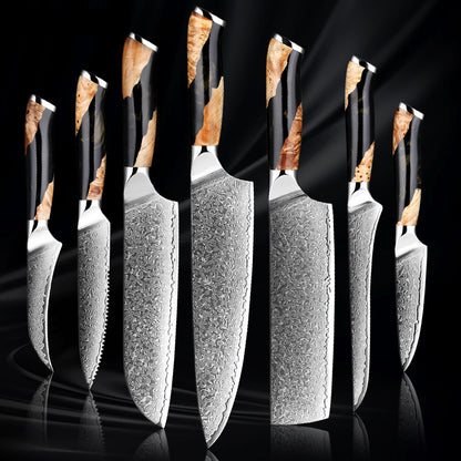 Damascus Steel Professional Chef Knife Set