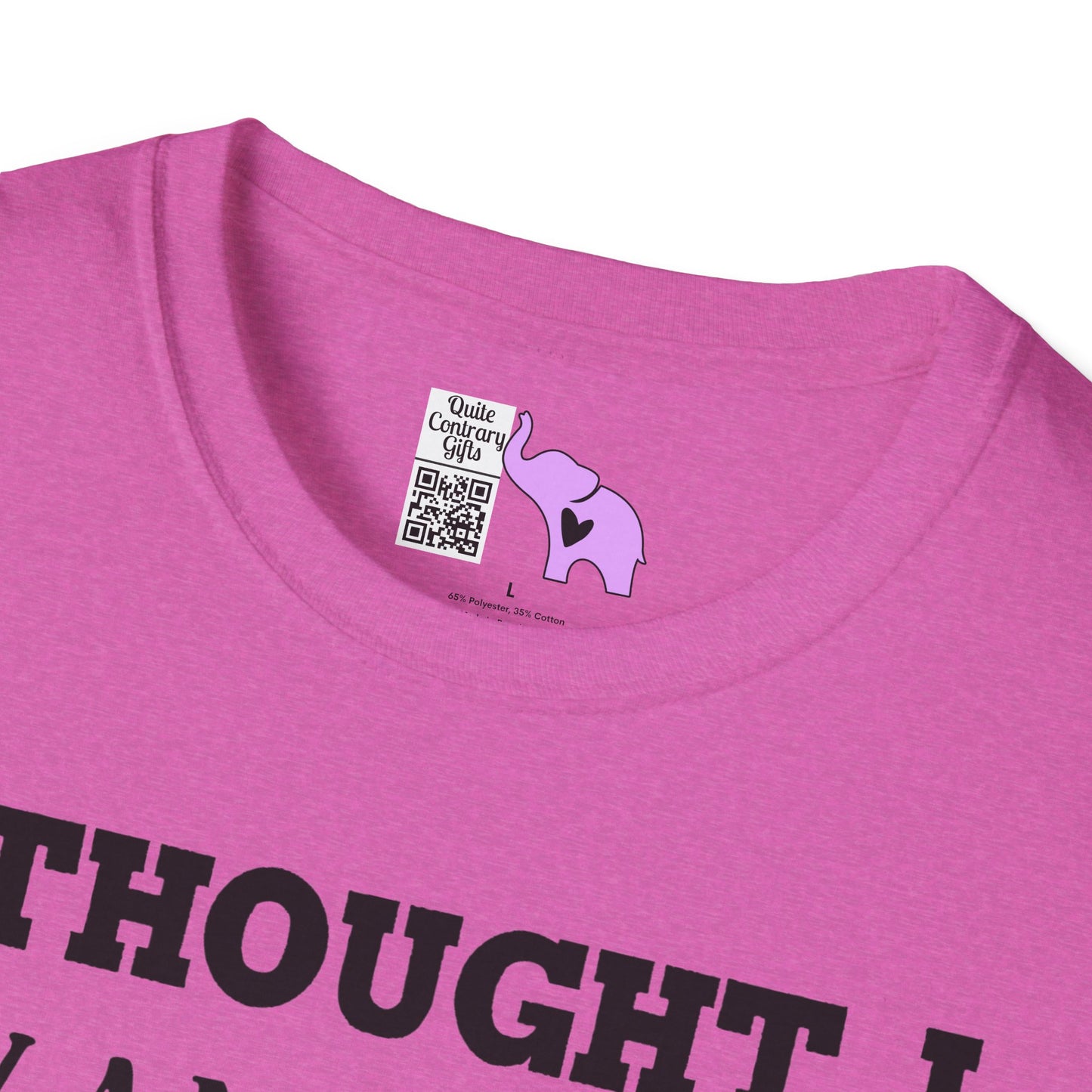 I Thought I Wanted A Career Turns Out I Just Wanted A Paycheck Adult T-shirt