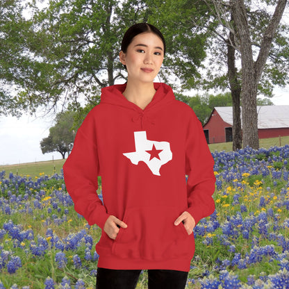 Texas w/Star Heavy Blend™ Hooded Sweatshirt