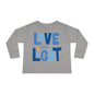 Hanukkah Love & Light 2 Toddler Long Sleeve Tee