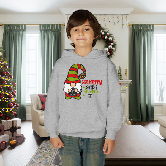 Naughty and I Gnome It Youth Hoodie