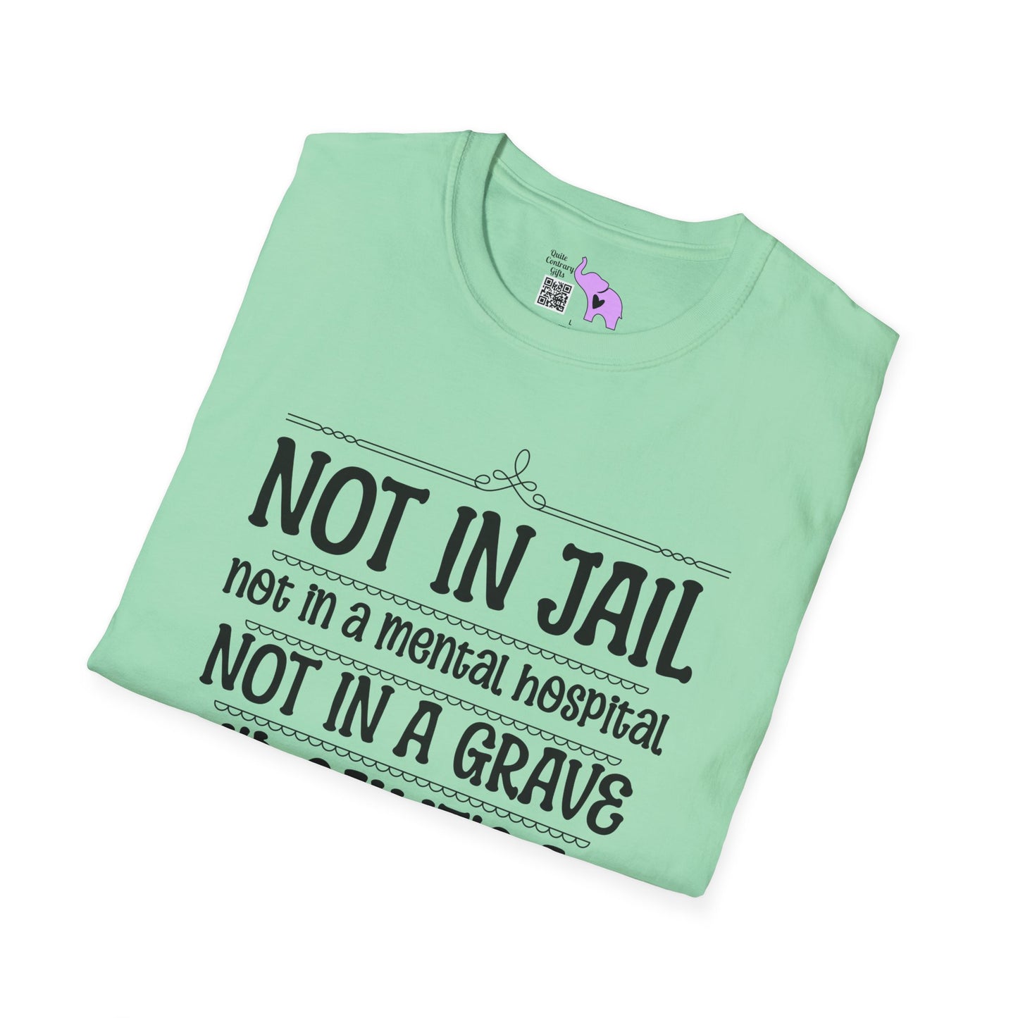 Not In A Jail/Mental Hospital/Dead I'd Say It's A Good Day Adult T-shirt