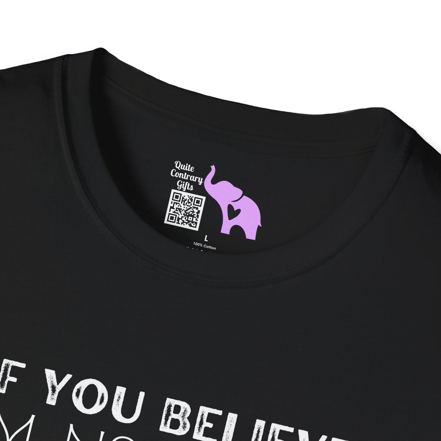 If You Believe I'm Normal I've Got A Ski Resort In Florida To Sell You Adult T-shirt