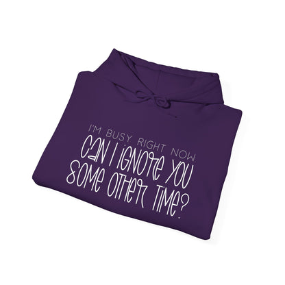 I'm Busy Right Now Can I Ignore You Later? Heavy Blend™ Hooded Sweatshirt