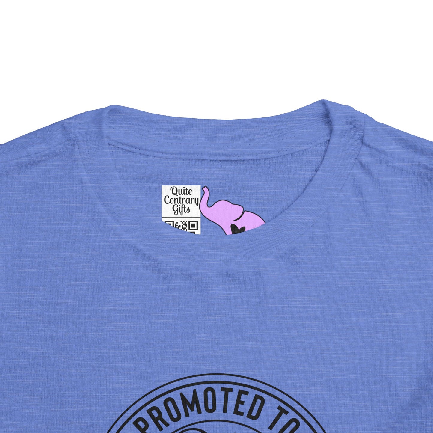 Promoted to Big Brother Again (Circle) Toddler Tee