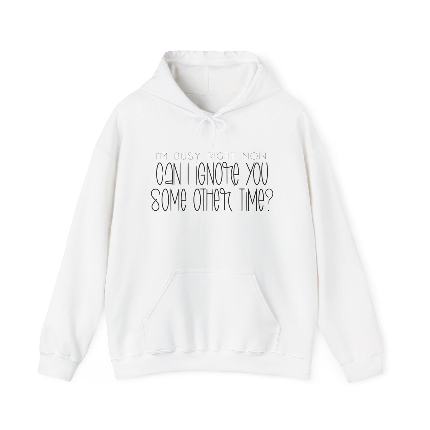 I'm Busy Right Now Can I Ignore You Later? Heavy Blend™ Hooded Sweatshirt