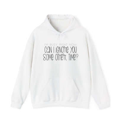 I'm Busy Right Now Can I Ignore You Later? Heavy Blend™ Hooded Sweatshirt