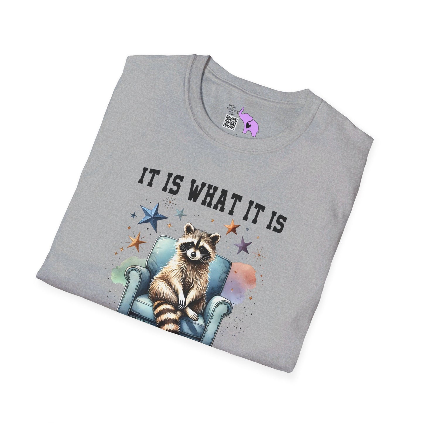 It Is What It Is And It's Not Great Racoon (2) T-shirt