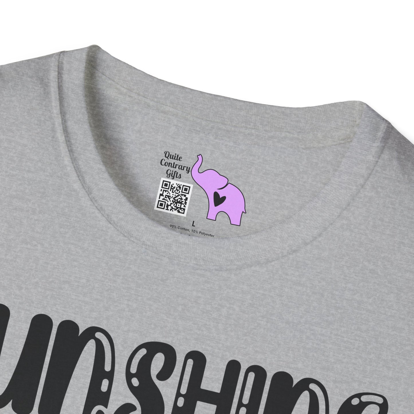 Sunshine Mixed With A Little Hurricane Adult T-shirt