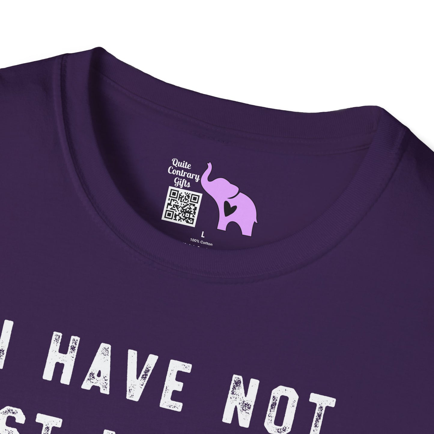 I Have Not Lost My Mind It's Backed Up On A Disk Adult T-shirt