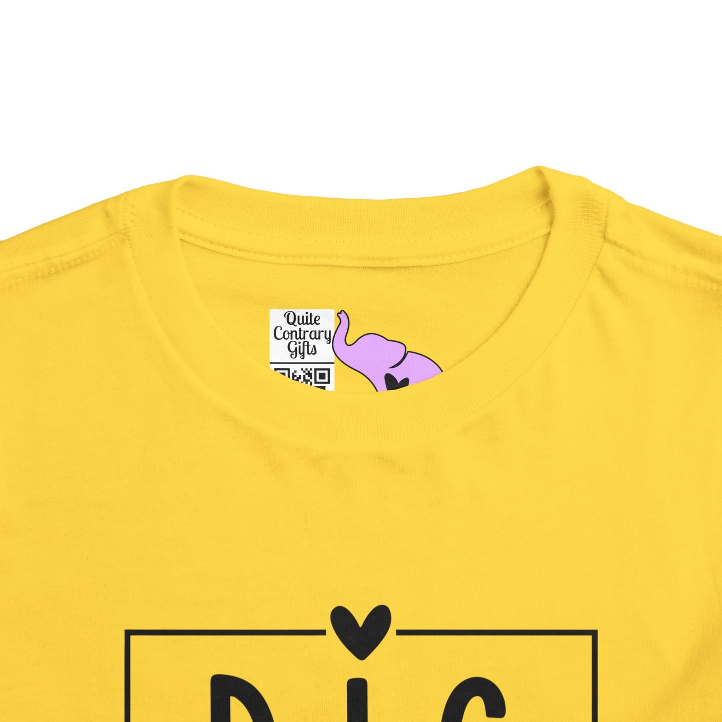 Big Sister (Heart/Box) Toddler Tee