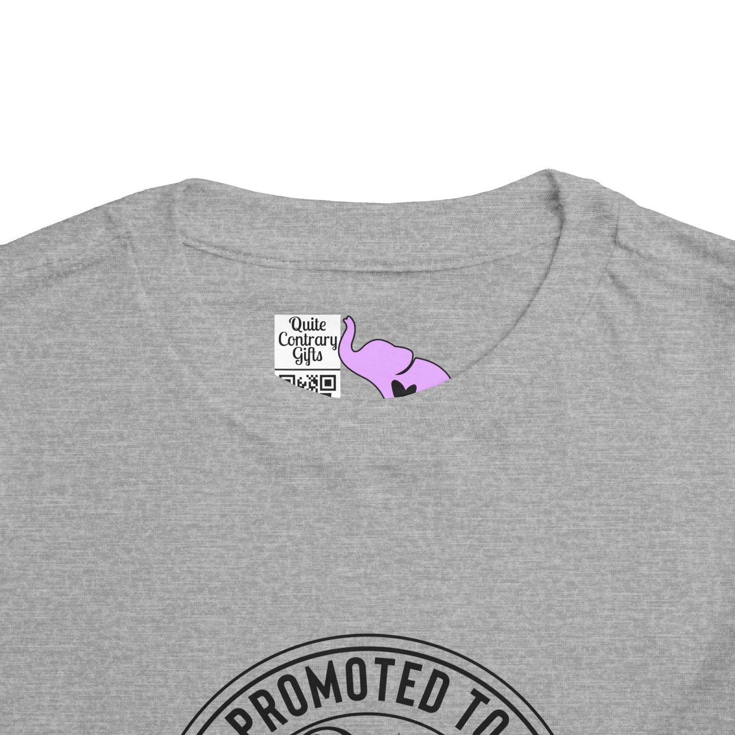 Promoted to Big Brother Again (Circle) Toddler Tee