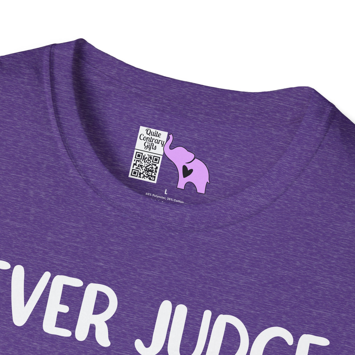 Never Judge Someone By The Visibility Of Their Illness Adult T-shirt