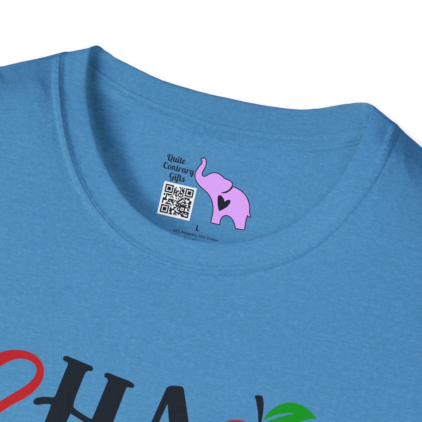 Chaos Coordinator Adult T-shirt