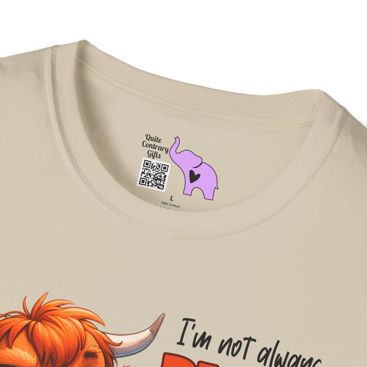 I'm Not Always Right But I'm Never Wrong Adult T-shirt