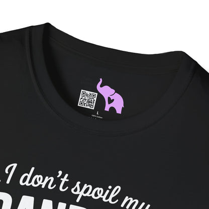 I Don't Spoil My Grandkids I'm Just Very Accommodating Adult T-shirt
