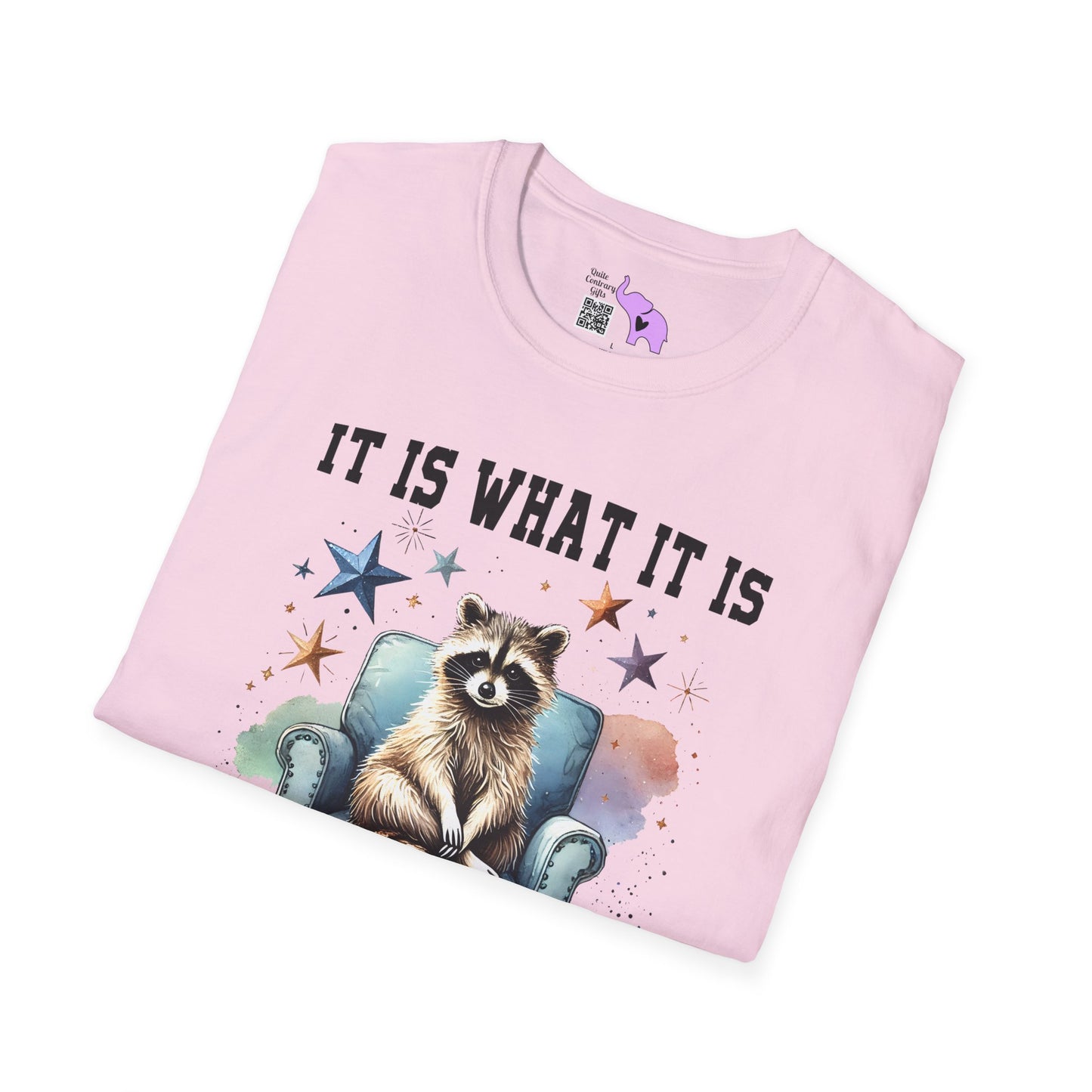 It Is What It Is And It's Not Great Racoon (2) Adult T-shirt