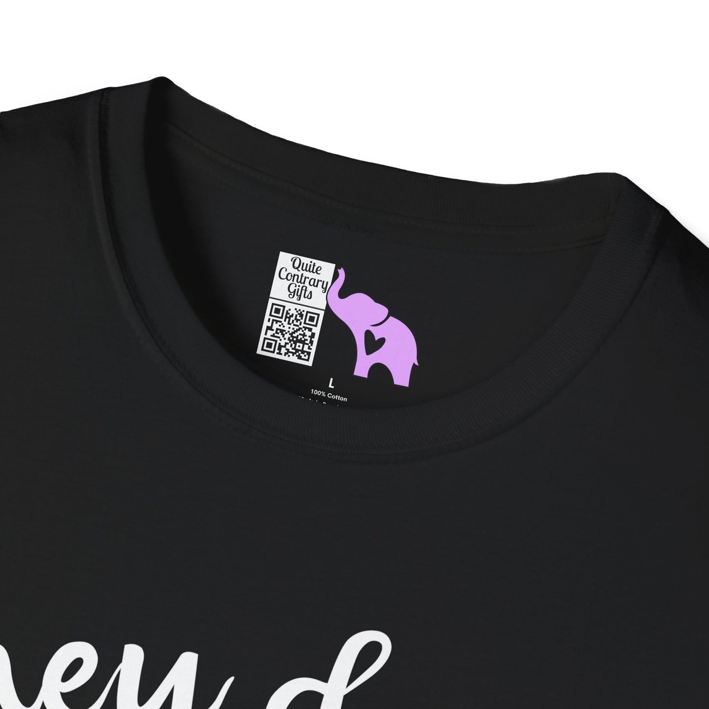 They Don't Pay Me Enough To Care Adult T-shirt