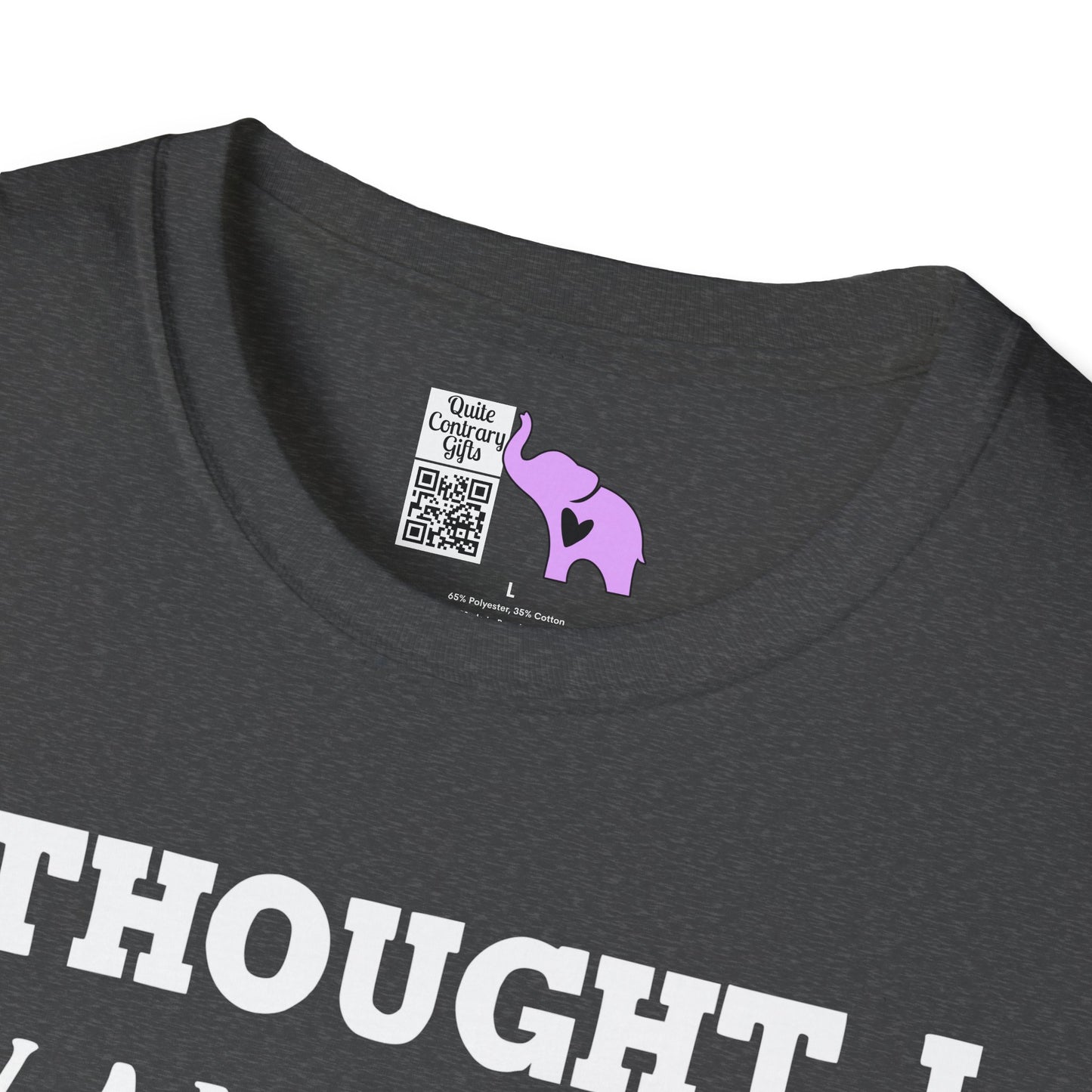 I Thought I Wanted A Career Turns Out I Just Wanted A Paycheck Adult T-shirt