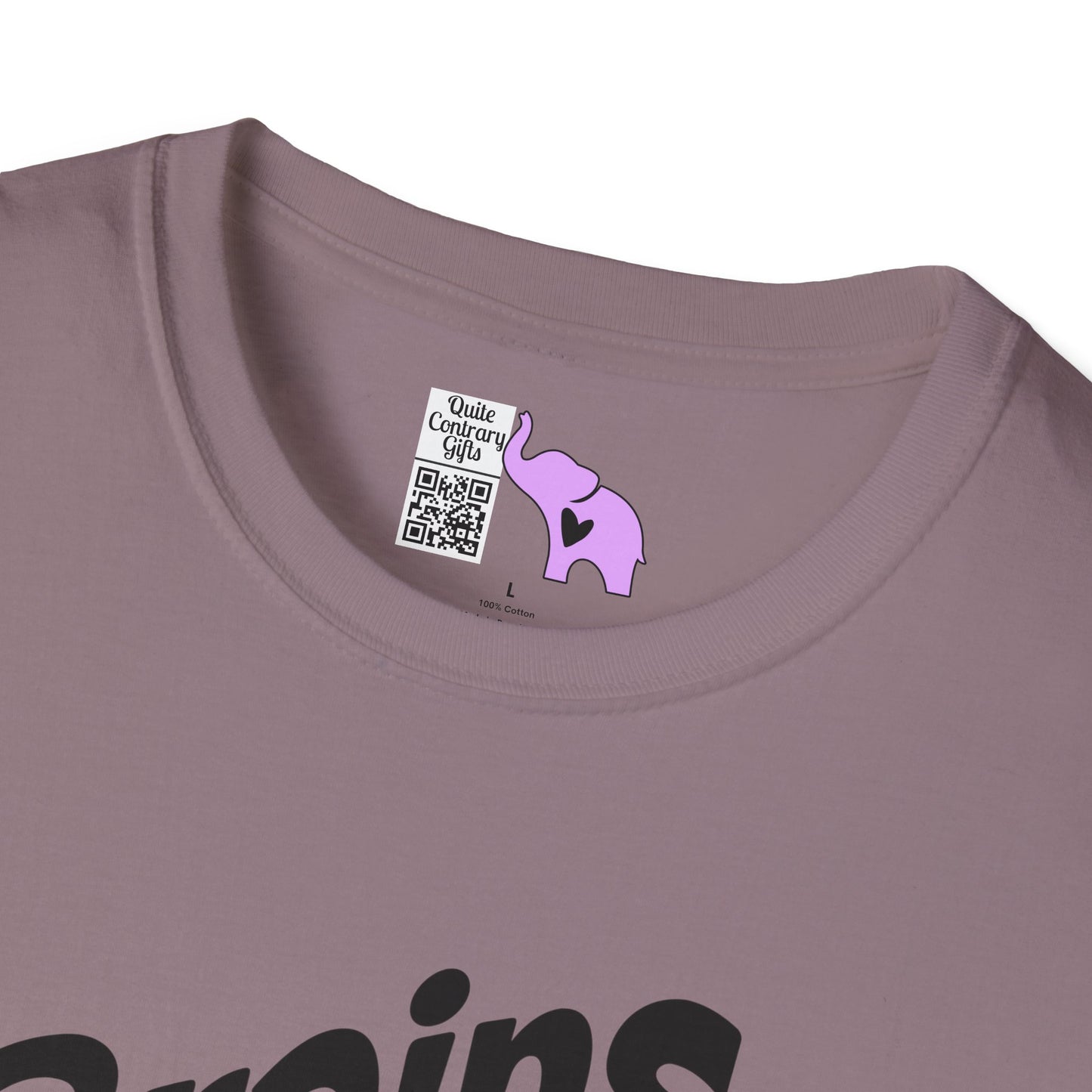 Brains Are Awesome I Wish More People Had One Adult T-shirt