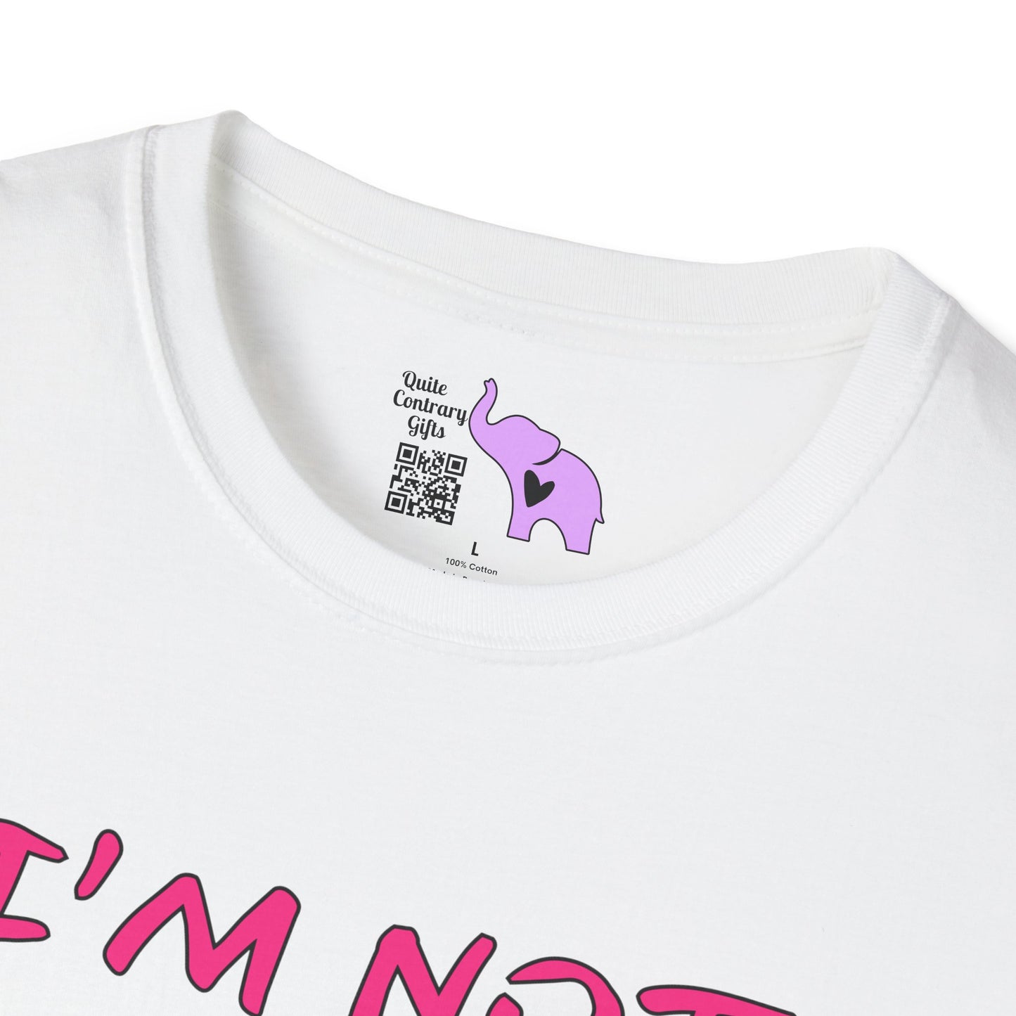 I Am Not Responsible for Your Lack of Knowledge Adult T-shirt