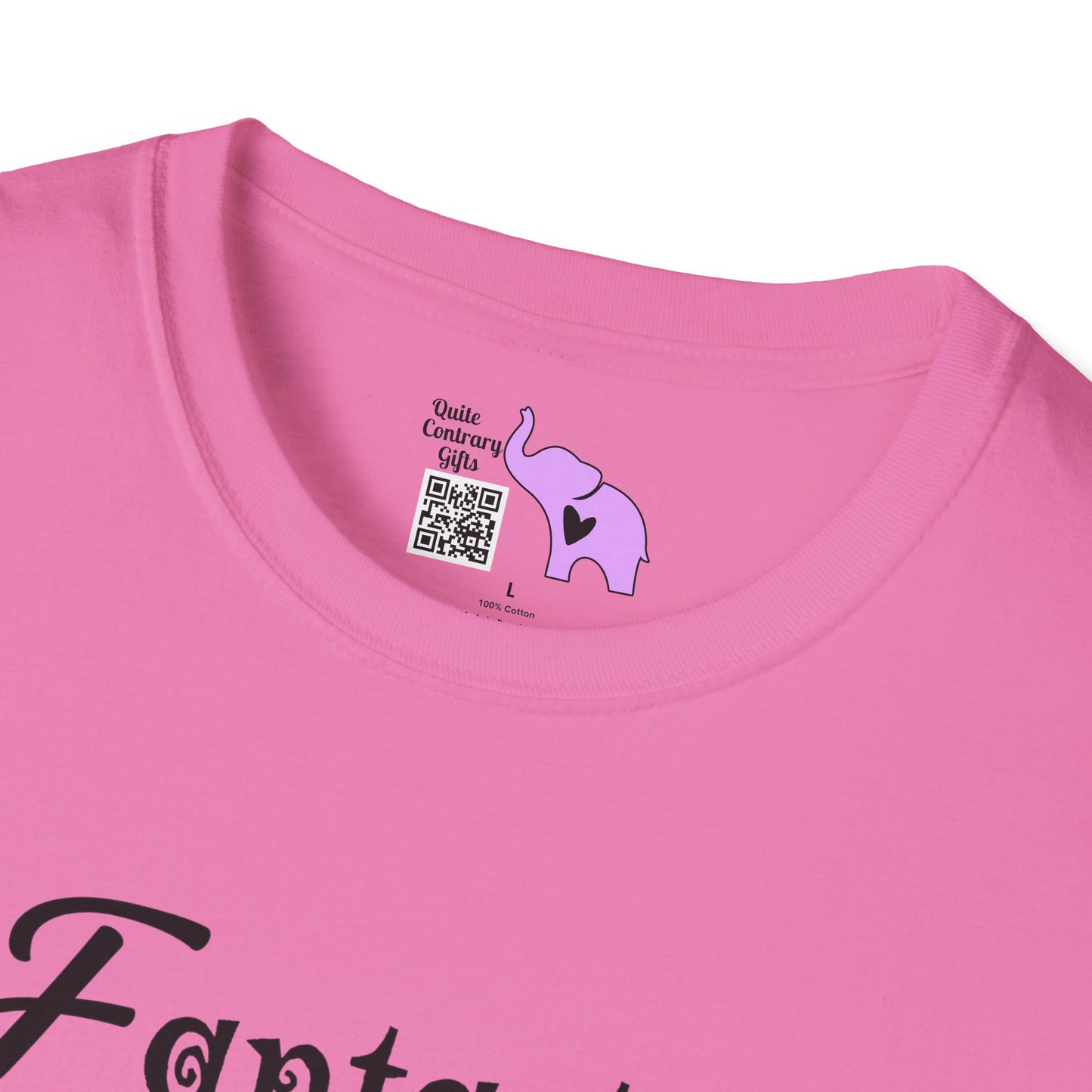 FAITH Fantastic Adventure In Trusting Him Adult T-shirt