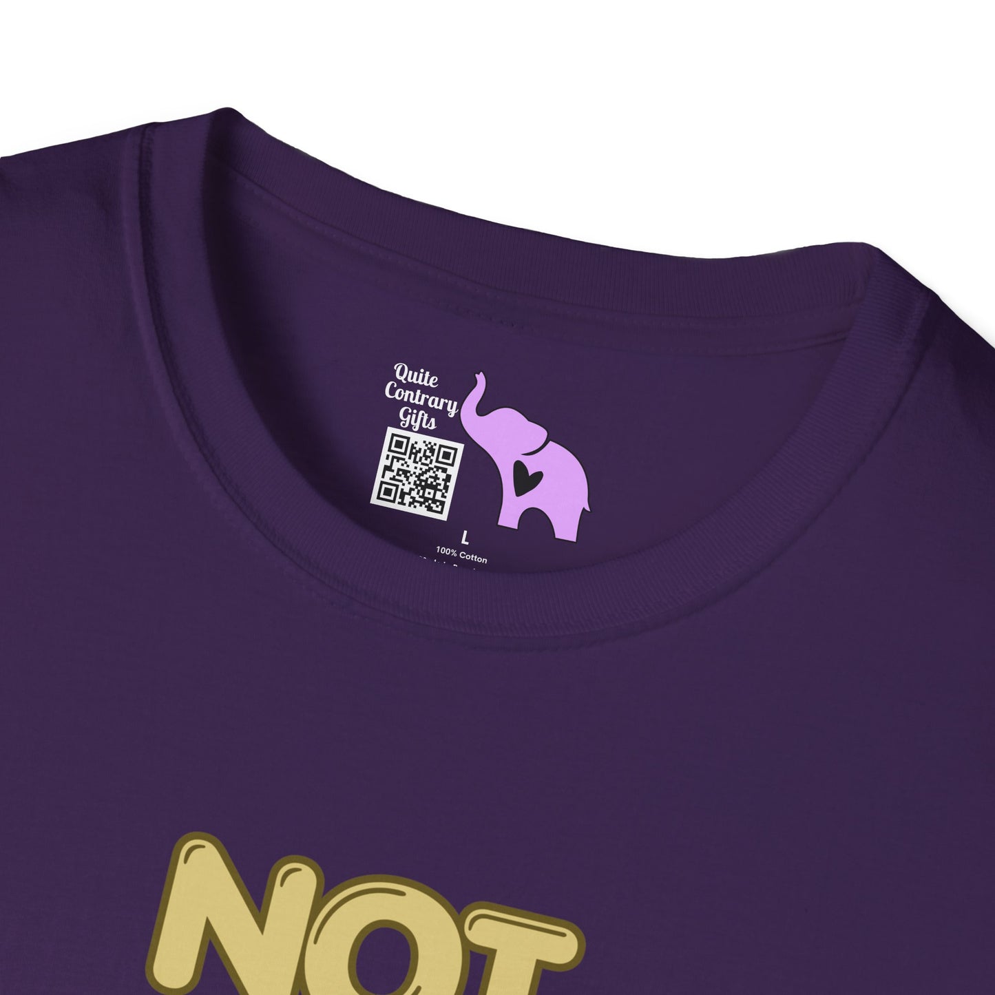 Not Friendly Do Not Touch Adult  T-shirt