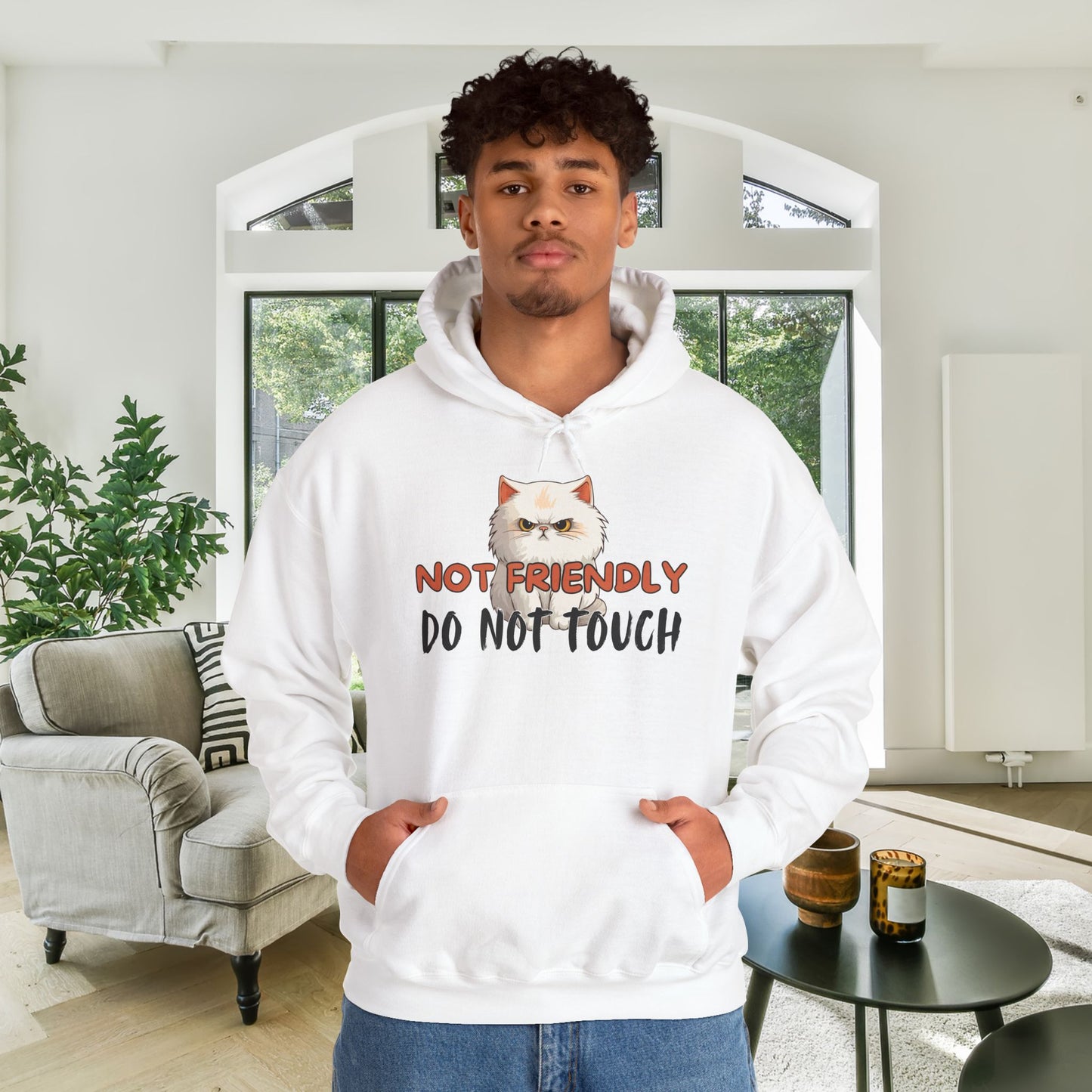 Not Friendly Do Not Touch Cat Heavy Blend™ Hooded Sweatshirt