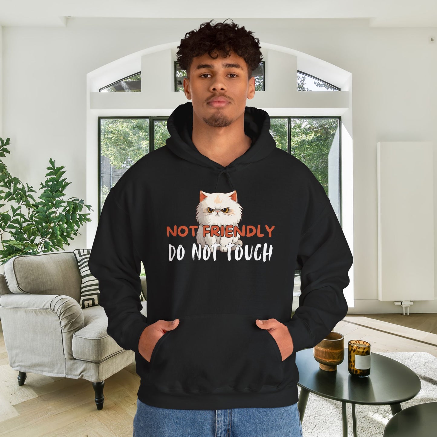 Not Friendly Do Not Touch Cat Heavy Blend™ Hooded Sweatshirt