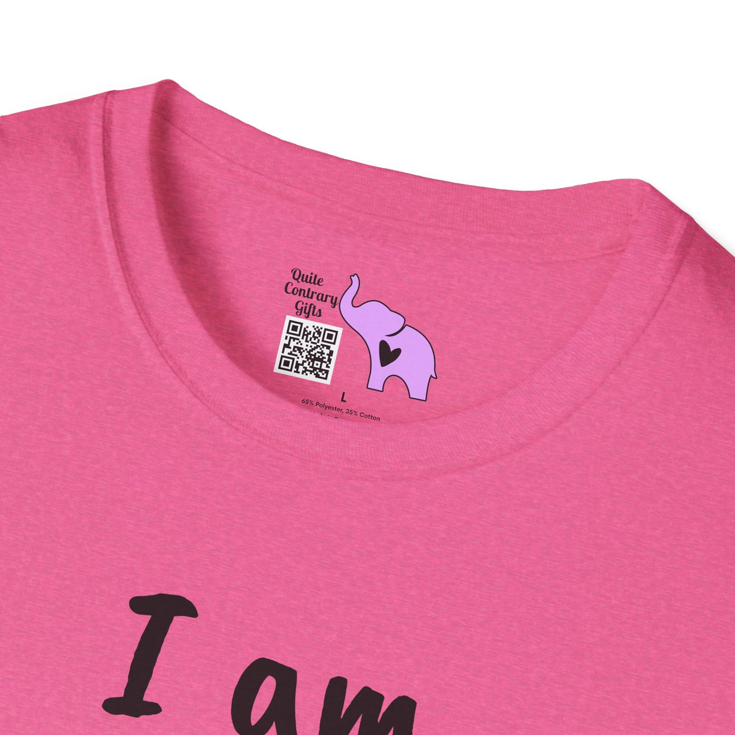 I am Becoming Pessimistic About my Optimism Adult T-shirt