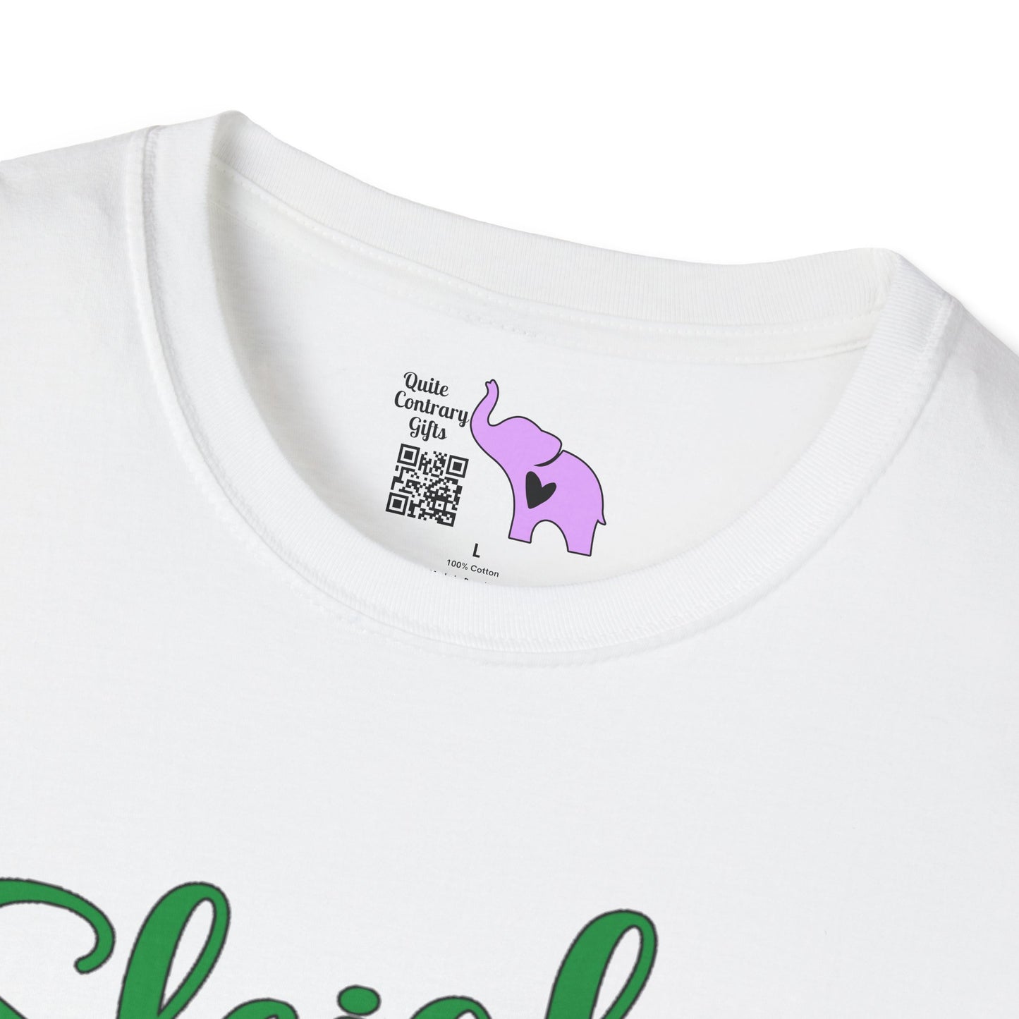 Sleigh Hair Don't Care Adult T-shirt