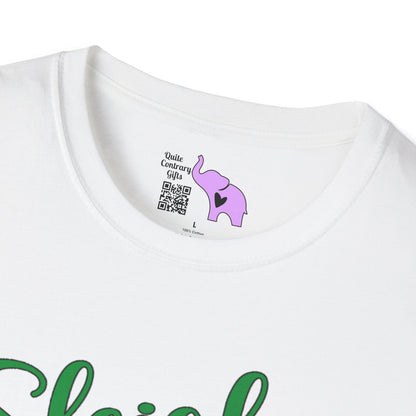 Sleigh Hair Don't Care Adult T-shirt