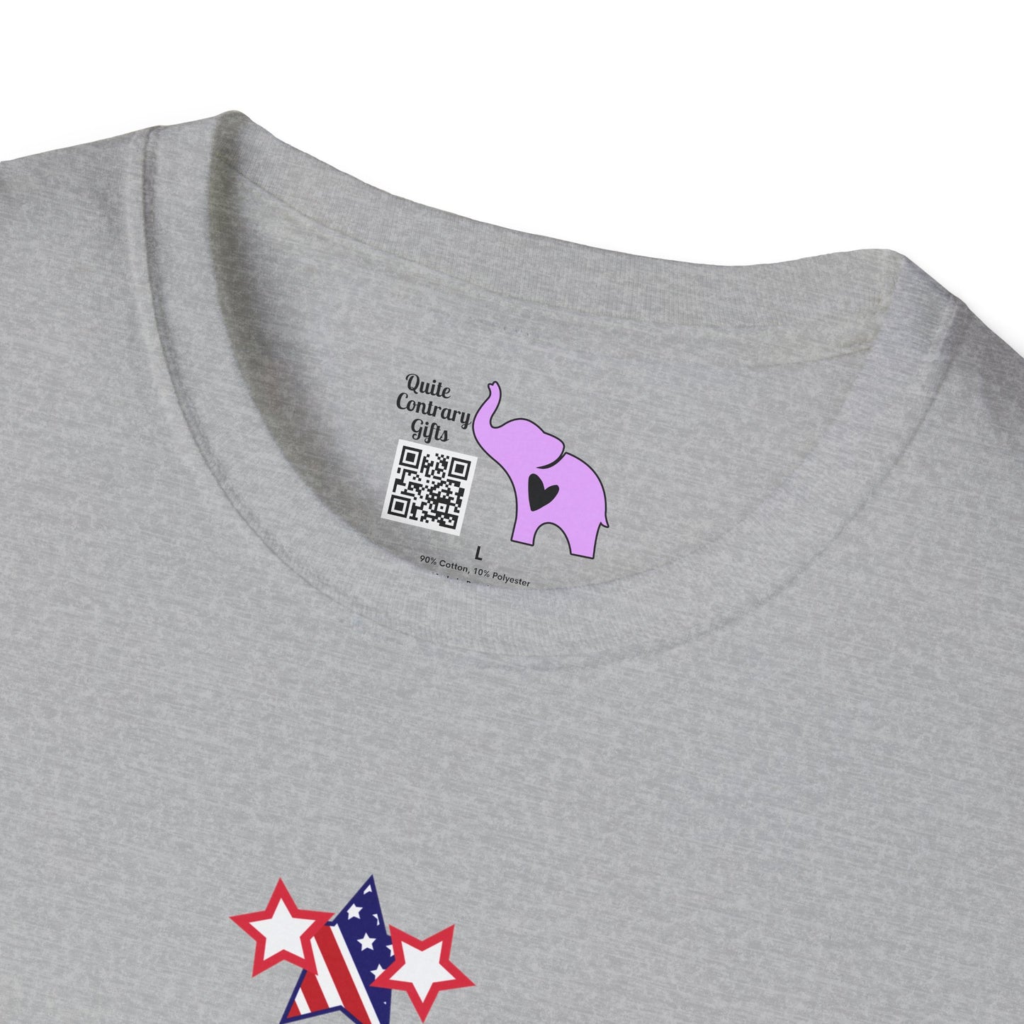 Semiquincentennial (American Flag) Adult T-shirt