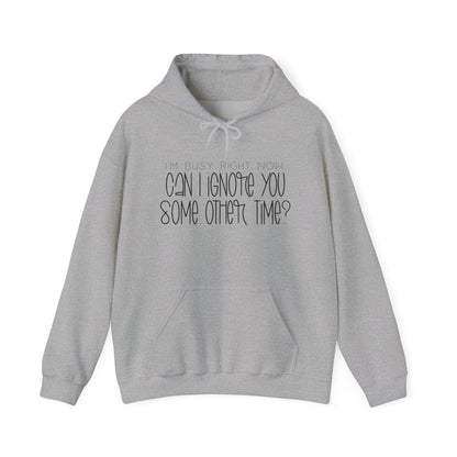 I'm Busy Right Now Can I Ignore You Later? Heavy Blend™ Hooded Sweatshirt