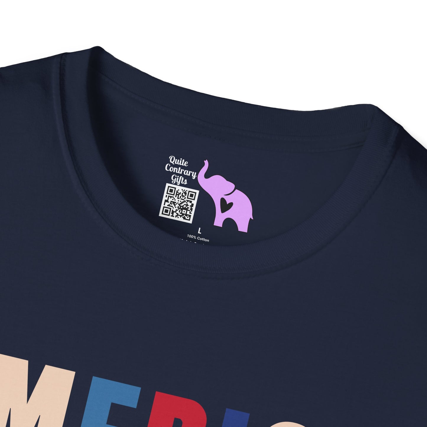 America Freedom Brave Independence Power Adult T-shirt