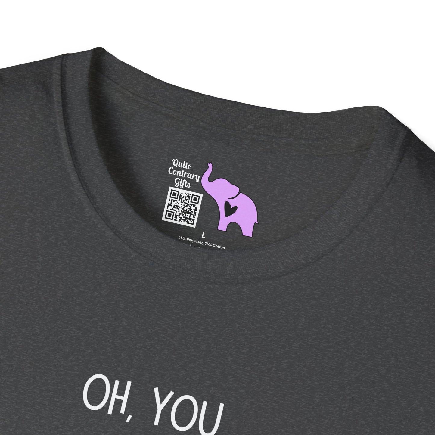 Couldn't Care Less Grammar Adult T-shirt