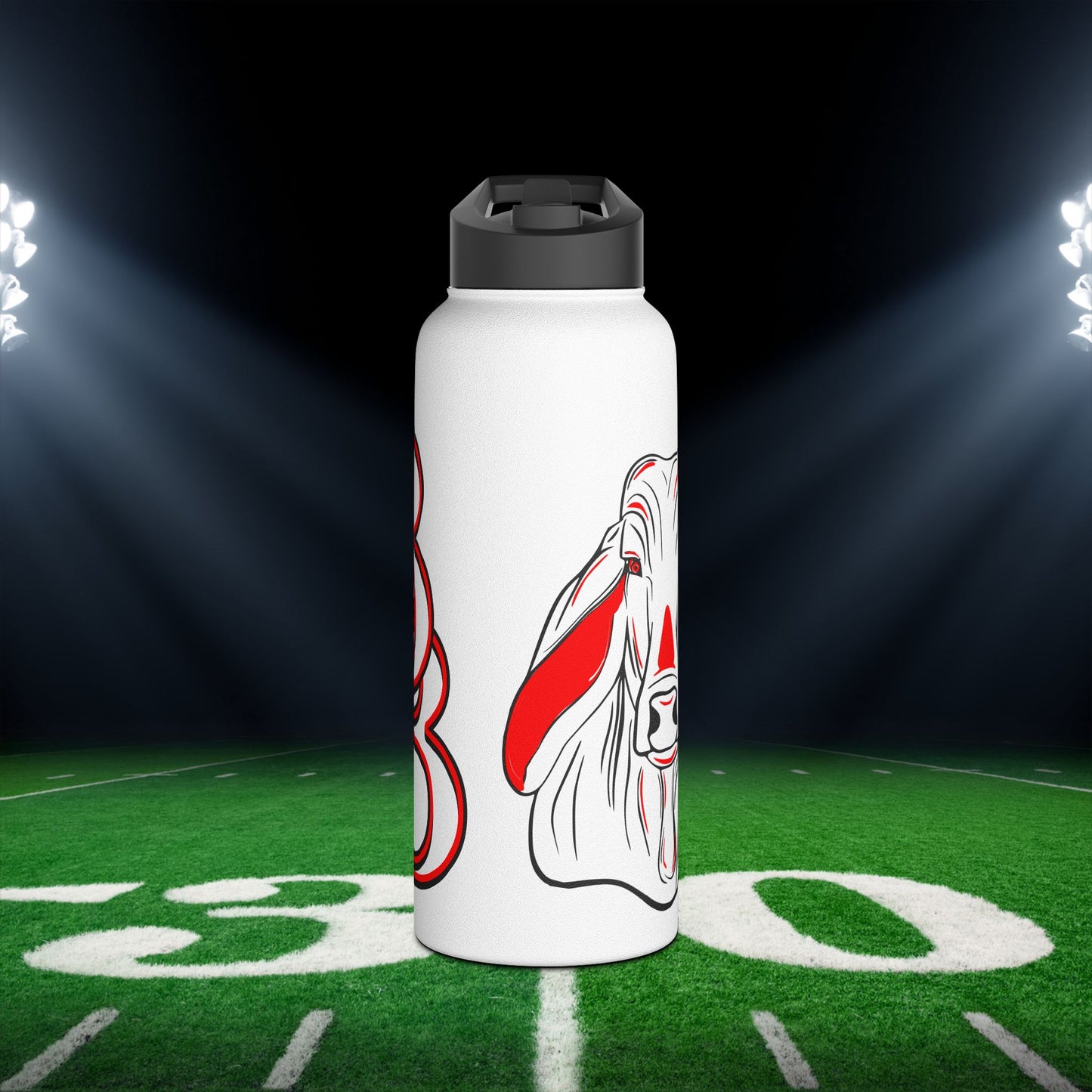 Bellville Brahmas Stainless Steel Water Bottle