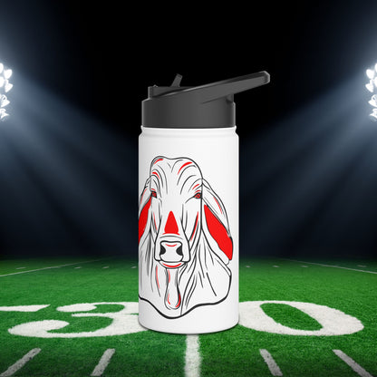 Bellville Brahmas Stainless Steel Water Bottle