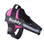 Personalized NO PULL Dog Reflective Dog Harness