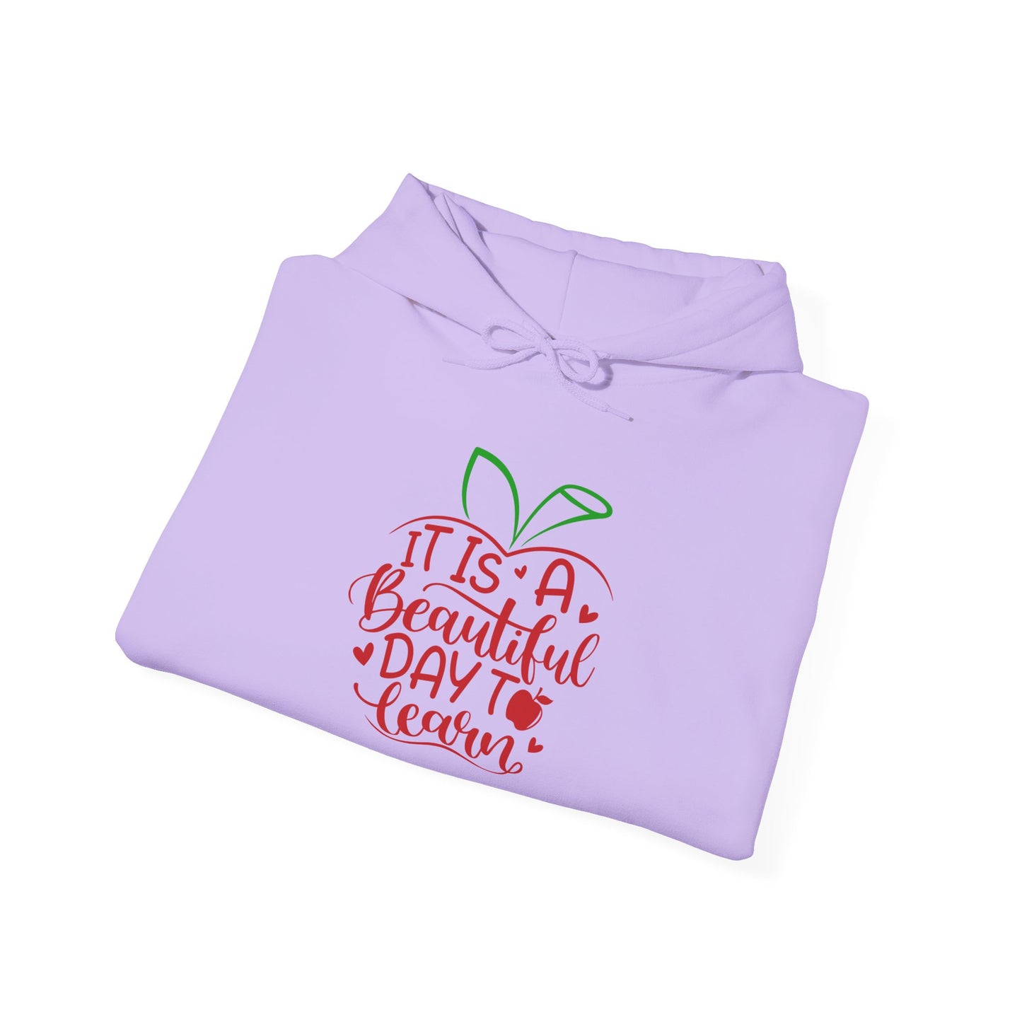 It's A Beautiful Day To Learn Heavy Blend™ Hooded Sweatshirt