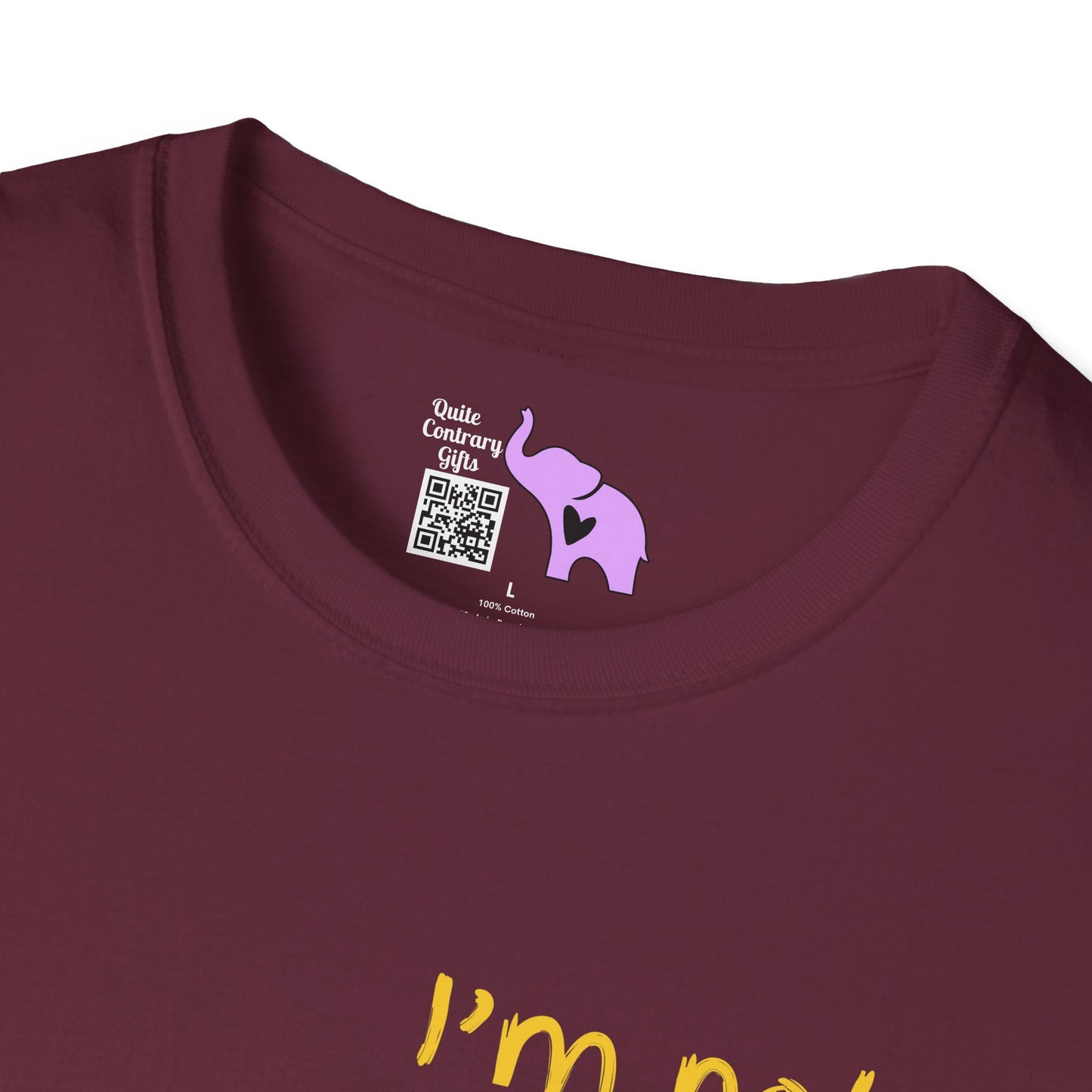 I'm Not Perfect But At Least I'm From Texas Adult T-shirt